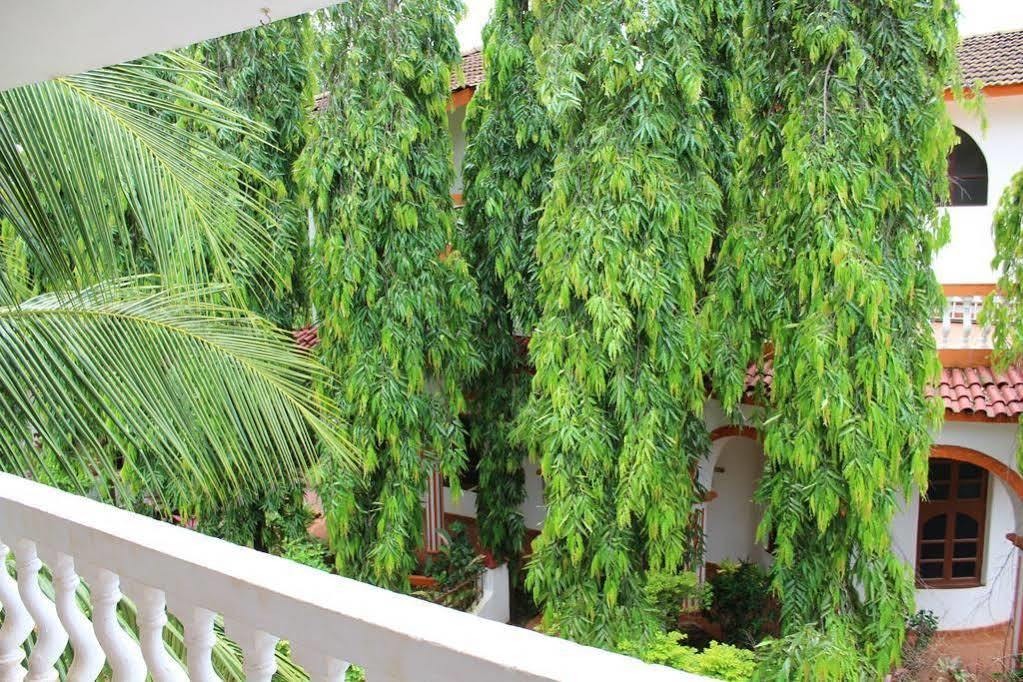Sugar Plum Macedo Palms Bed and Breakfast Baga Εξωτερικό φωτογραφία